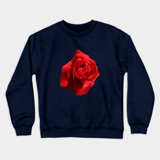 The Perfect Red Rose Photograph Cut Out Crewneck Sweatshirt